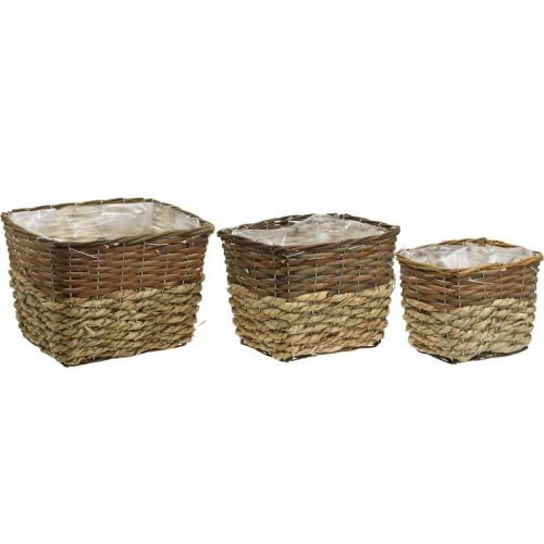 Artikel Växtkorg, naturlig behållare för plantering, fyrkantig blomskål naturlig L29,5/26/23cm H21/19/16cm set om 3