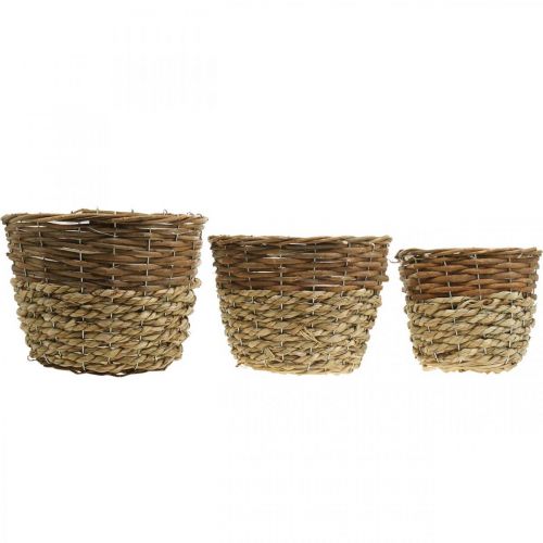 Artikel Blomkorg för plantering, plantering, flätad korg natur Ø27/25/20cm H20/18/17cm set om 3