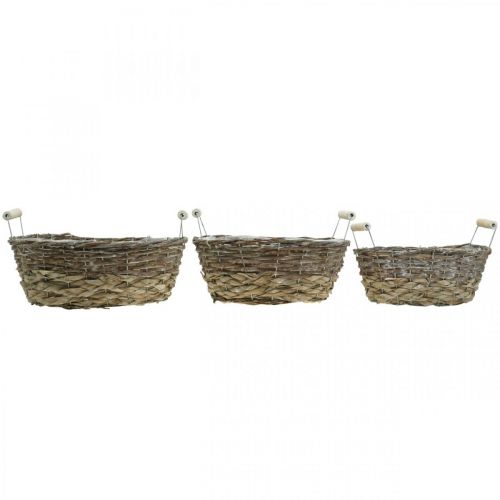 Artikel Naturkorg för plantering, korg med handtag, planteringslåda shabby chic vittvättad L31/27,5/24cm H12/11,5/10cm set om 3