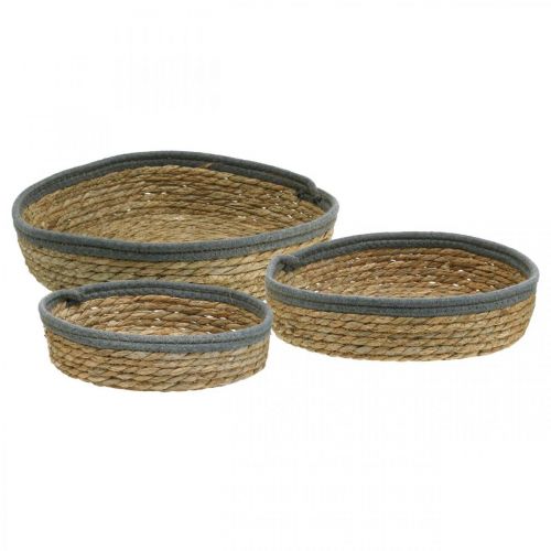 Korgbricka rund, naturlig växtskål, dekorativ bricka flätad natur Ø33/30/25cm H8/7cm set om 3
