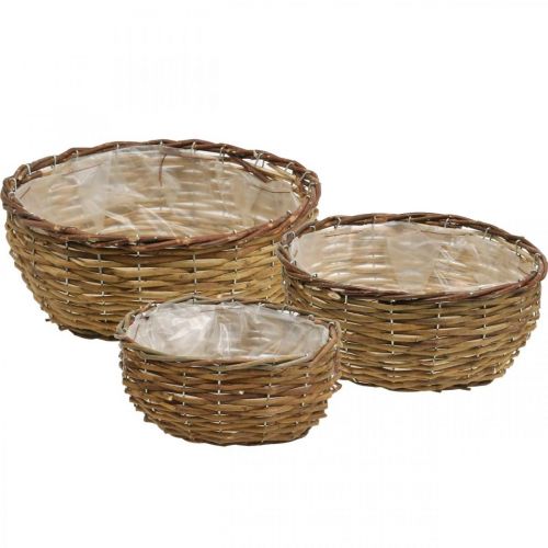 Floristik24 Korgskål naturlig växtkorg flätad korg Ø21,5/26/Ø31cm set om 3