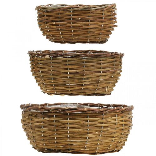 Floristik24 Korgskål naturlig växtkorg flätad korg Ø21,5/26/Ø31cm set om 3