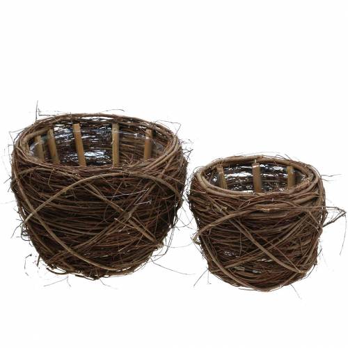 Floristik24 Växtpotten willow naturliga färger Ø26 / 20cm H20 / 16cm uppsättning av 2