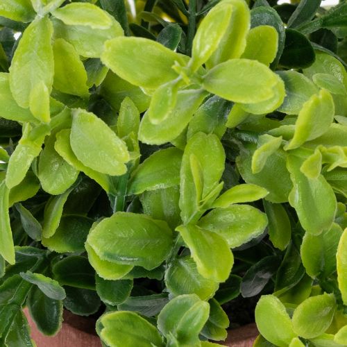 Artikel Konstgjord växt i blomkruka med realistisk textur för inomhusbruk och dekoration, 18 cm, 3 stycken