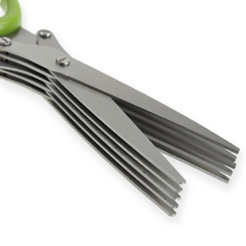 Floristik24 Gräslökssax med 5 blad