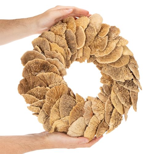 Trädsvampkrans, naturlig färg, för dörr- eller väggdekoration, 37 cm | Floristik24.se