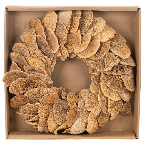 Trädsvampkrans, naturlig färg, för dörr- eller väggdekoration, 37 cm | Floristik24.se