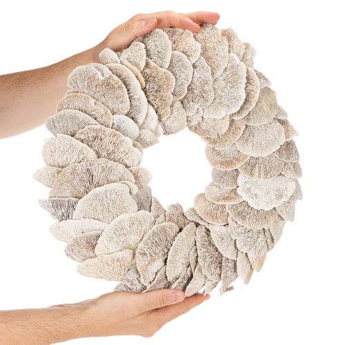 Kransträdsvamp Naturlig dekoration 37cm | Floristik24.se