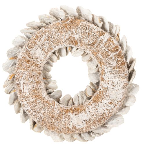 Kransträdsvamp Naturlig dekoration 37cm | Floristik24.se