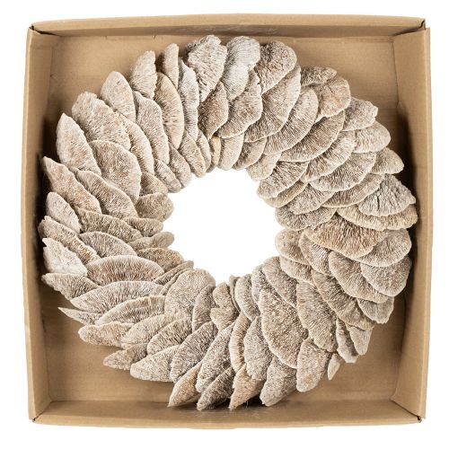 Kransträdsvamp Naturlig dekoration 37cm | Floristik24.se