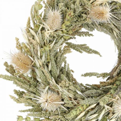 Floristik24 Torkad blomsterkrans kort tistelgräskorn Ø28cm