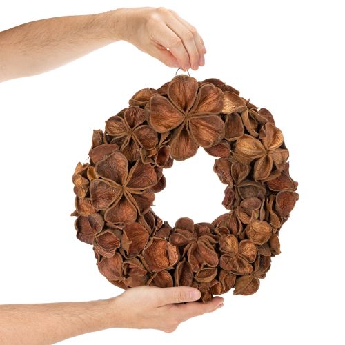 Torkad lotuskrans, dekorativ dörrkrans, 35 cm | Floristik24.se