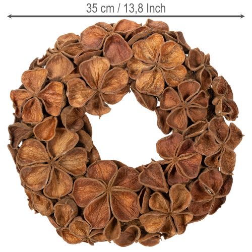 Torkad lotuskrans, dekorativ dörrkrans, 35 cm | Floristik24.se