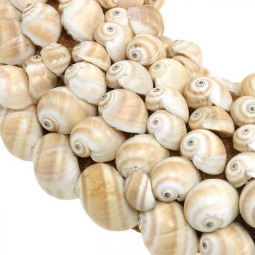 Floristik24 Snigelkrans, maritim dekoration, naturliga Mattukansniglar naturliga färger Ø39,5cm
