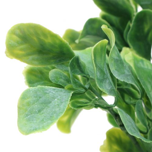 Floristik24 Basilika i en gäng konstgjord grön 36cm 6st