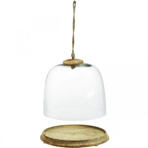 Floristik24 Glasklocka med träplatta, kakklocka med jutehandtag H19cm Ø22,5cm