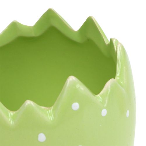 Floristik24 Blomkruka äggskal Ø8cm H8.5cm 8st