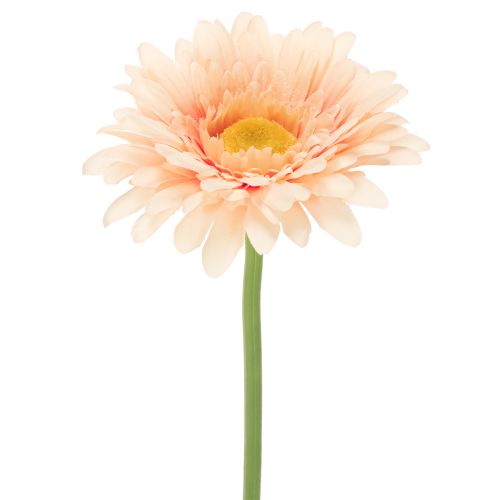 Konstgjorda Gerberablommor Aprikos 47cm 6st köpa | Floristik24.se