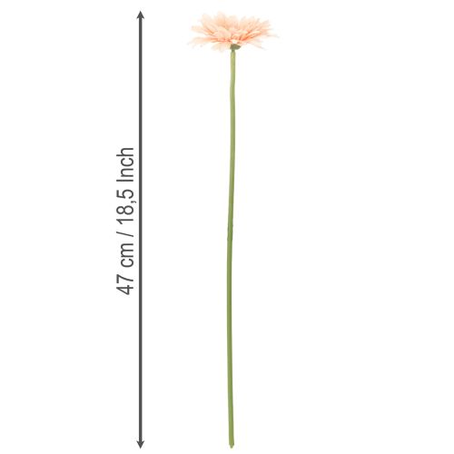 Konstgjorda Gerberablommor Aprikos 47cm 6st | Floristik24.se