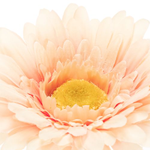 Konstgjorda Gerberablommor Aprikos 47cm 6st | Floristik24.se