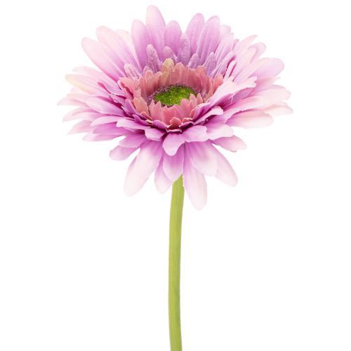 Konstgjorda Gerberablommor, Lila, 47 cm, 6 stycken köpa | Floristik24.se