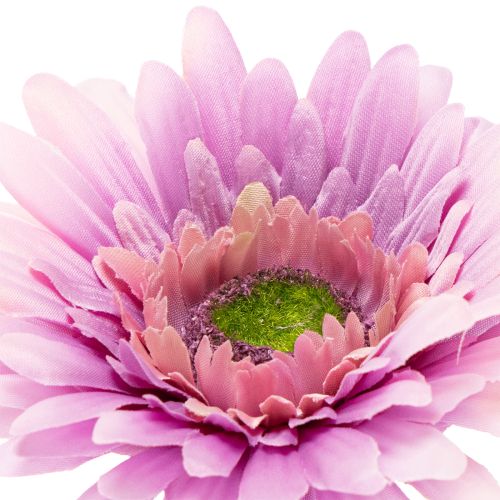 Konstgjorda Gerberablommor, Lila, 47 cm, 6 stycken | Floristik24.se