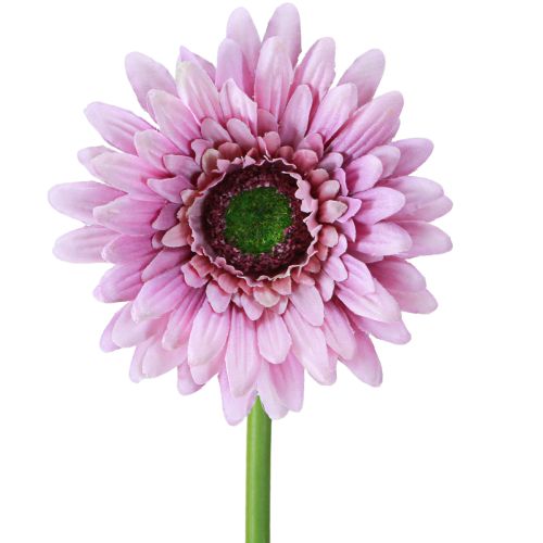 Konstgjorda Blommor Gerbera Trädgård Konstgjorda Blommor Lila 47cm