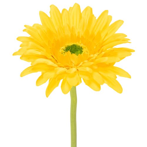 Konstgjorda gerberablommor, solgula, trädgårdsblomma, 47 cm, 6 stycken köpa | Floristik24.se