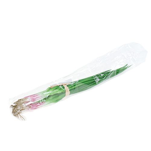 Floristik24 Konstgjord vårlök 30cm 4st