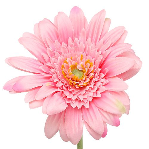 Floristik24 Konstgjord gerbera rosa Ø10cm L53cm 6st