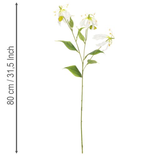 Konstgjord Gloriosa-blomma, vit och gul, elegant blommande gren för dekoration, 80 cm, 3 stycken | Floristik24.se