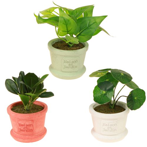 Floristik24 Konstgjorda gröna växter miniplantor i kruka 15cm 3st