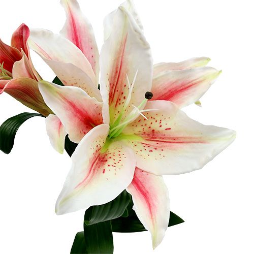 Floristik24 Konstgjord lilja rosa med verklig touch 100 cm
