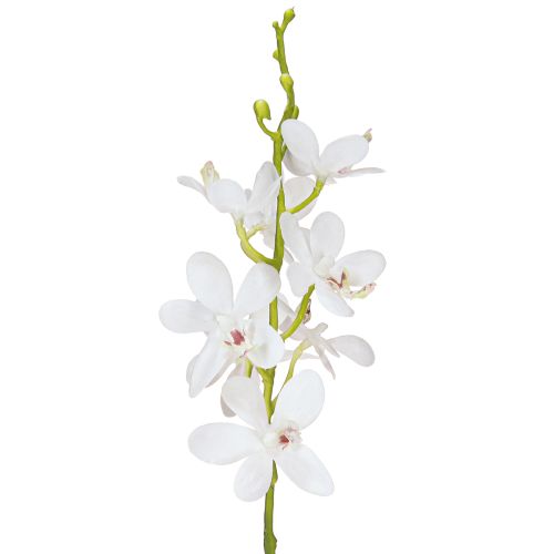Floristik24 Konstgjorda orkidéer Vit Blomma Ø3,5–5cm L38cm 2st