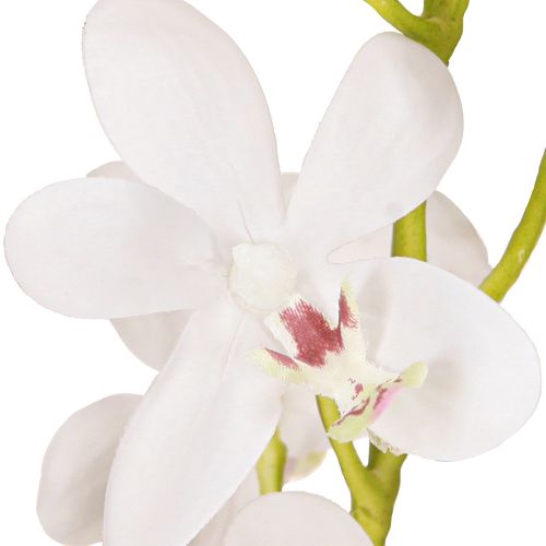 Artikel Konstgjorda orkidéer Vit Blomma Ø3,5–5cm L38cm 2st