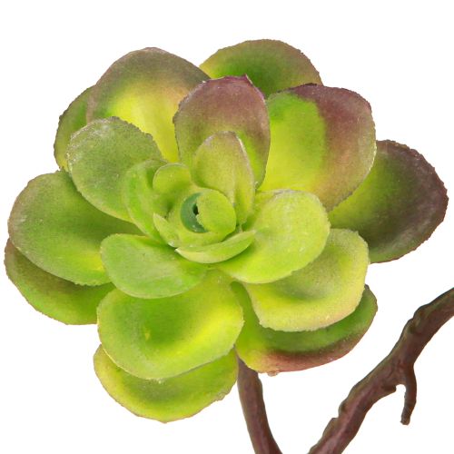 Artikel Konstgjorda suckulenter med stjälk grön lila assorterad 32cm 2st