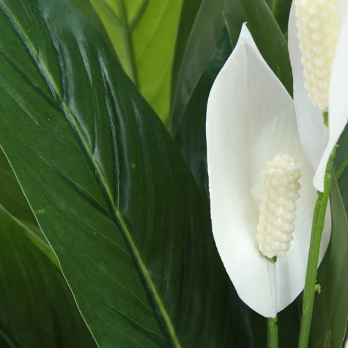 Artikel Konstgjord krukväxt Single Leaf Peace Lily Grön Vit 55cm