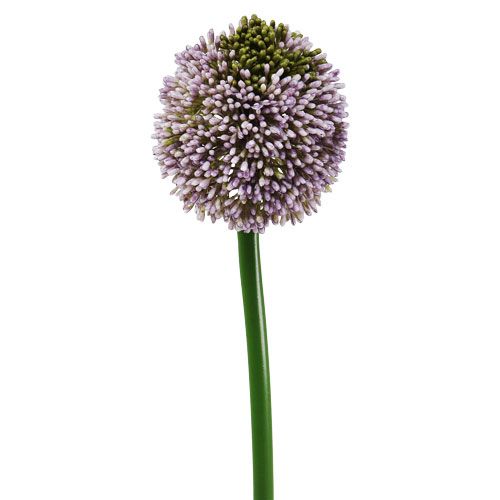 Floristik24 Konstgjorda blommor Allium Lila Ø10cm L65cm