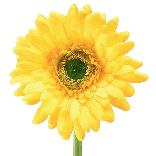 Konstgjorda blommor Gerbera solgul trädgårdsblomma 47cm