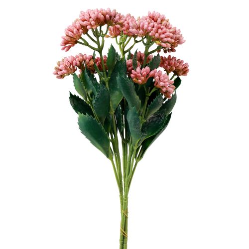 Floristik24 Konstgjord Fat Hen Sedum Stengröt blommande rosa 47cm 3st