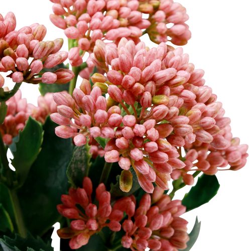 Artikel Konstgjord Fat Hen Sedum Stengröt blommande rosa 47cm 3st