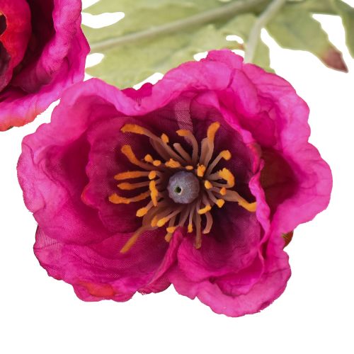 Floristik24 Konstgjorda vallmo dekorativa sidenblommor rosa 70cm