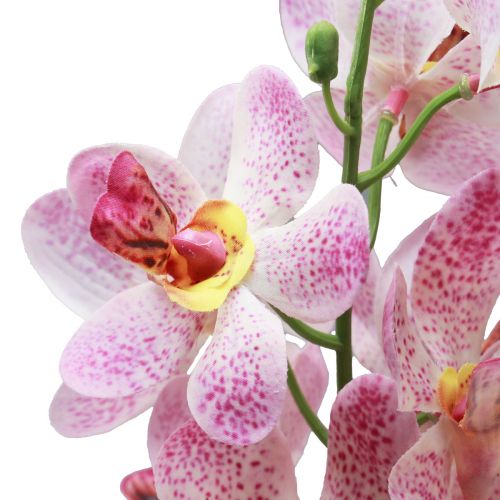 Artikel Konstgjord orkidé Rosa Vit Konstgjord blomorkidé 73cm