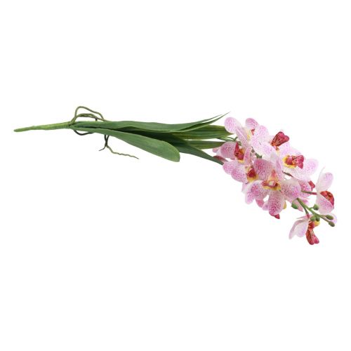 Artikel Konstgjord orkidé Rosa Vit Konstgjord blomorkidé 73cm