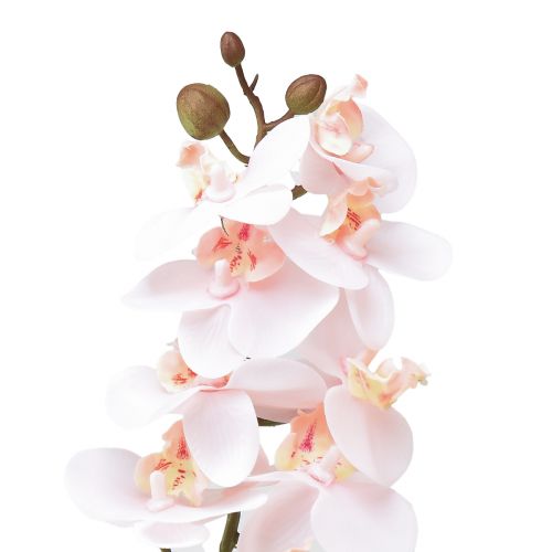 Artikel Konstgjord orkidé Rosa Phalaenopsis Real Touch 58cm