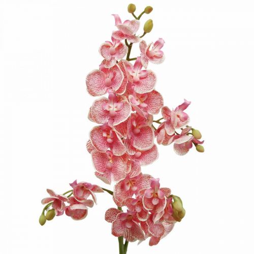 Floristik24 Konstgjorda orkidéer deco konstgjord blomma orkidé rosa 71cm