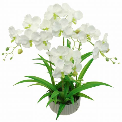 Floristik24 Konstgjorda orkidéer konstgjorda blommor i kruka vit 60cm