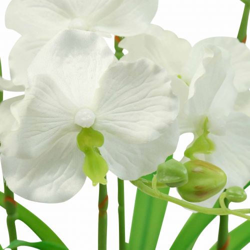 Floristik24 Konstgjorda orkidéer konstgjorda blommor i kruka vit 60cm