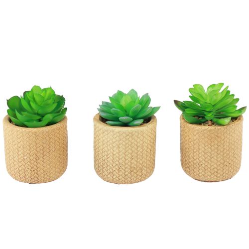 Artikel Konstgjorda suckulenter i kruka Konstgjorda växter Assorted 10cm 3st