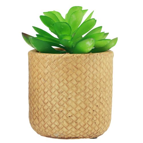 Artikel Konstgjorda suckulenter i kruka Konstgjorda växter Assorted 10cm 3st